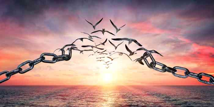 broken chain morphing into free birds